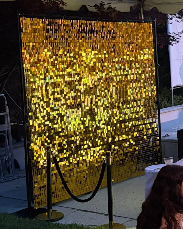 Signature gold shimmer wall with velvet ropes at an evening simcha